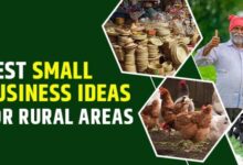 top 10 business ideas in village